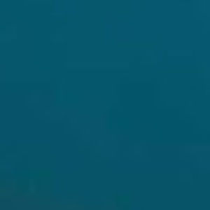 Meet your Posher, Miranda